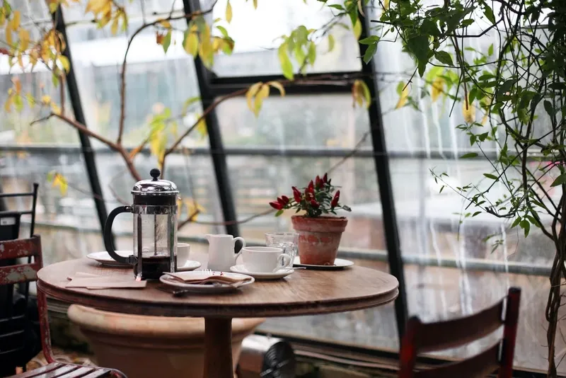 A small café table by a window with plants